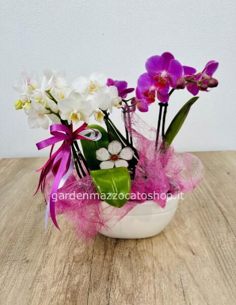 Composizione Orchidee Piccole con vaso ceramica