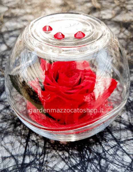 Sfera Vetro con rosa stabilizzata e Swarovski