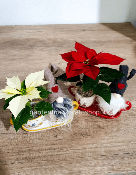 Tazzine con gnomo e stella di natale