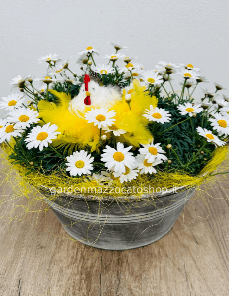 Margherite v14 su caspò tondo in latta rustica con decoro