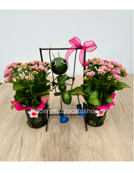 Altalena Formica con Kalanchoe