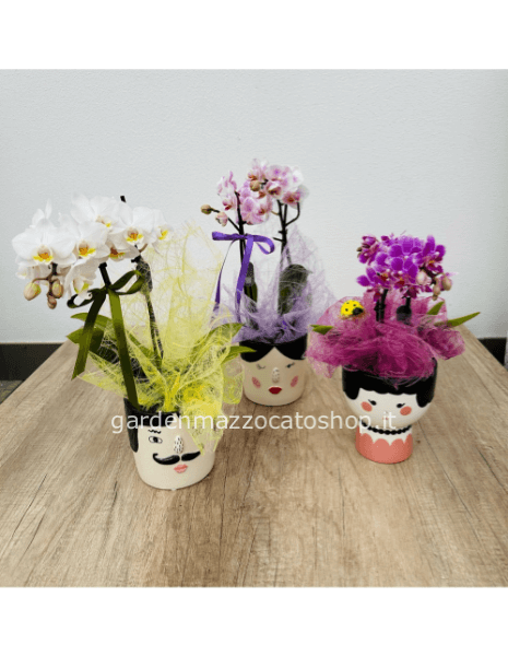 Orchidea Confezionata su Faccina in ceramica