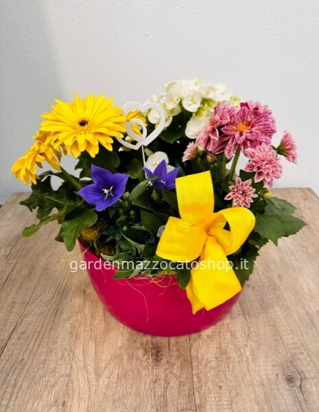 CIOTOLA PLASTICA LISCIA CON MISTO DI PIANTE STAGIONALI