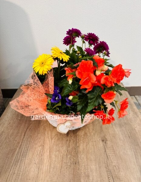 CESTO MISTO STAGIONALE PRIMAVERA/ESTATE